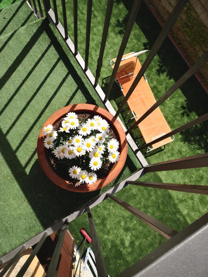 Appartamento/ mansarda nel cuore del Pollino Viggianello Esterno foto